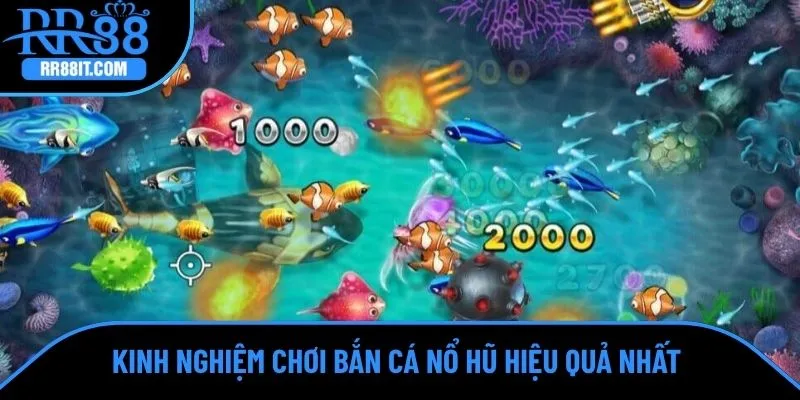 Kinh nghiệm chơi bắn cá nổ hũ hiệu quả nhất